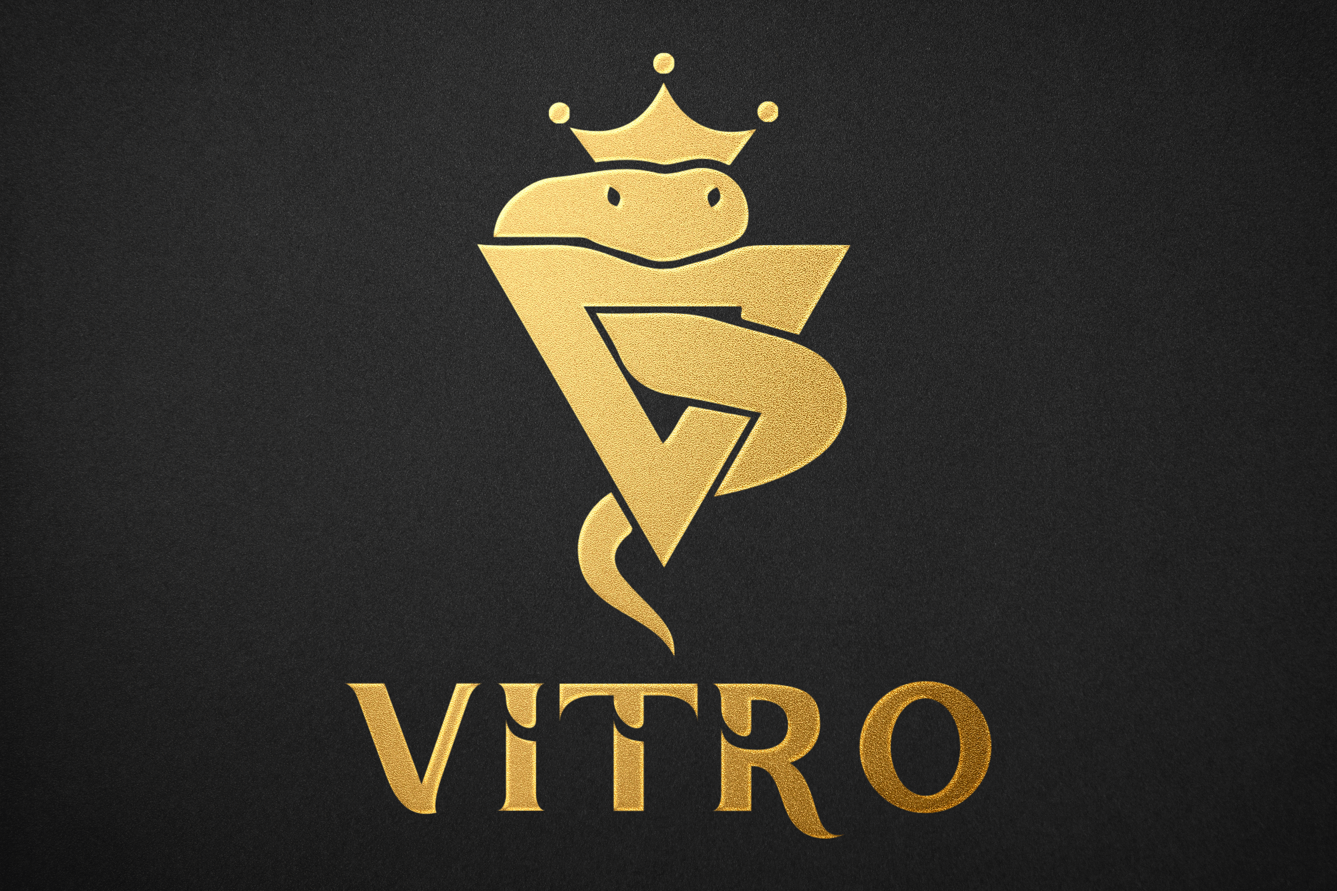 vitro